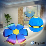 FLYBALL™ – FRISBEE MÍČ